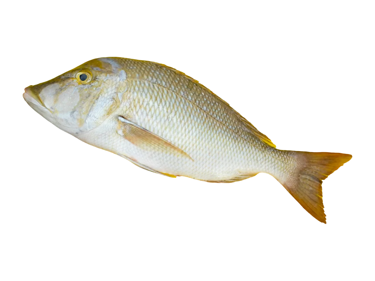 Emperor seafood product