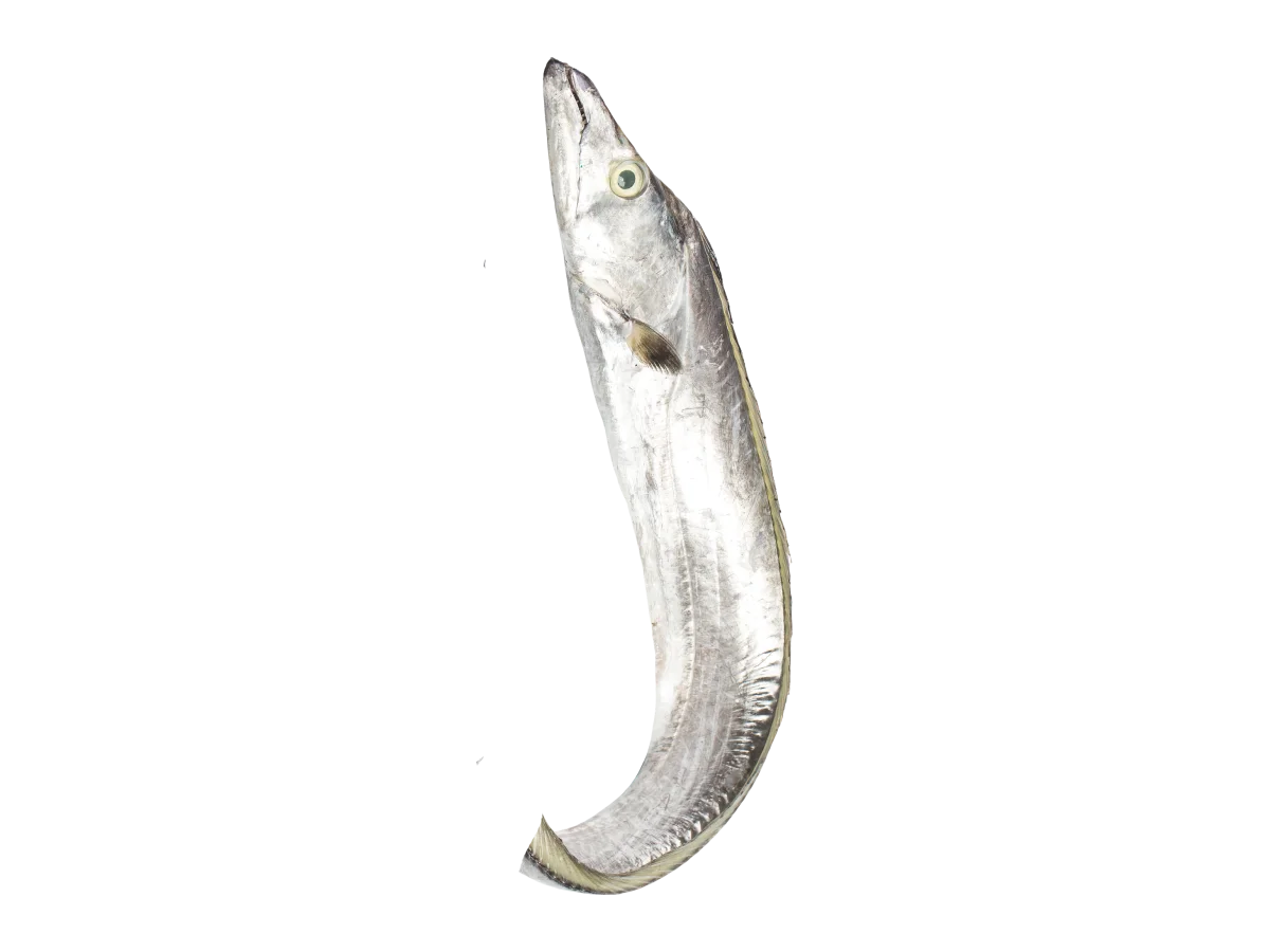 Ribbonfish seafood product
