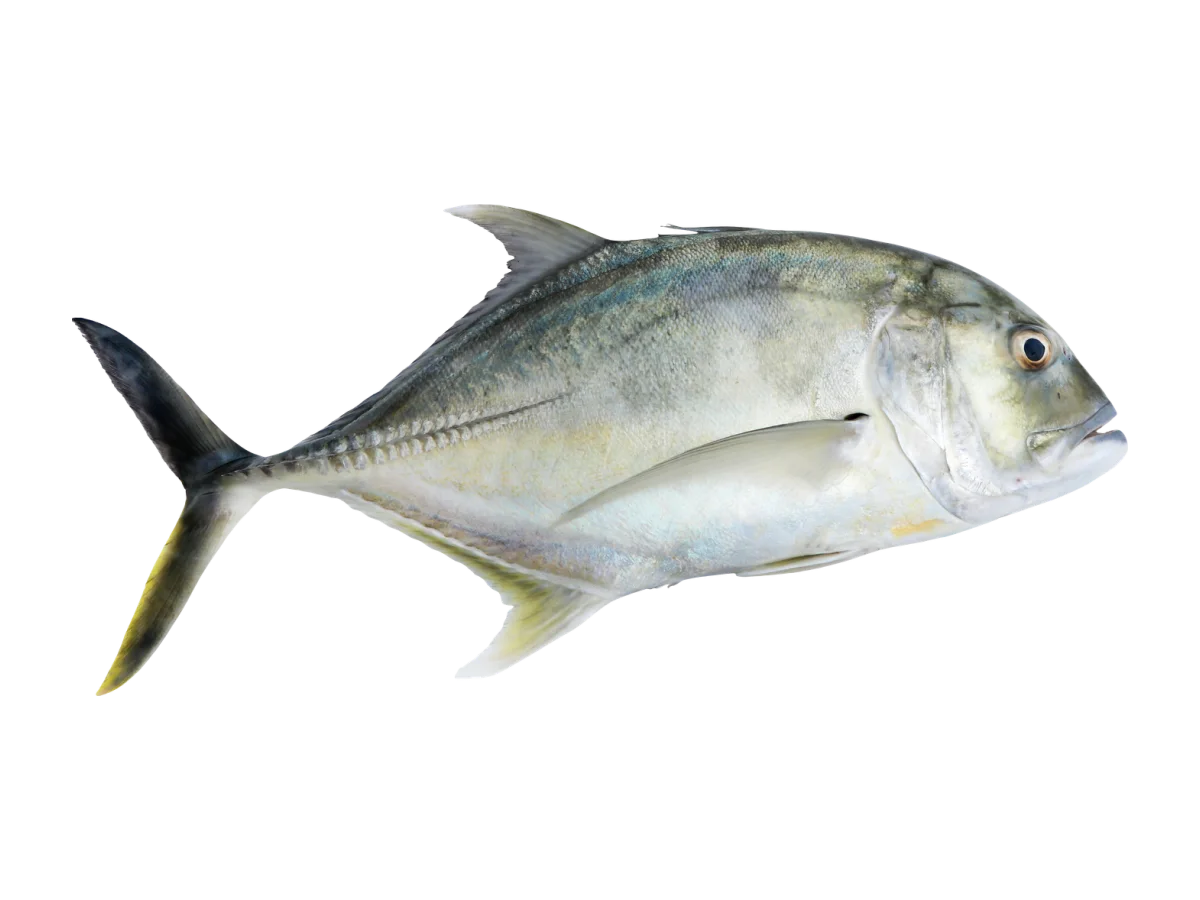 Trevally seafood product